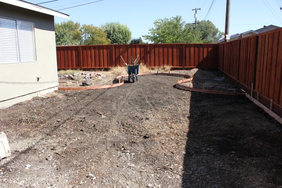 Backyard August 21 2014