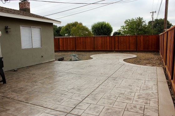 Backyard as of Sept 22