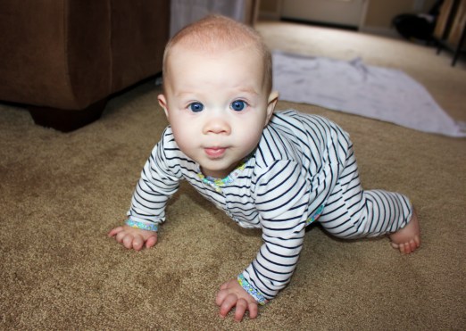 Crawler Extraordinaire